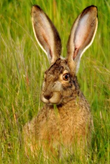 4402684089_9fb411a48d