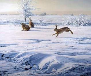 courting_hare-snow-print_large