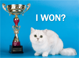 current-event-cat-nobel-winner